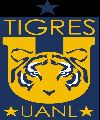 Tigres - ButteryCloth71