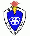 C.D. Covadonga