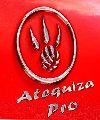 ATEQUIZA