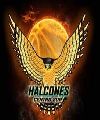 Halcones
