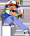 Ash Kanto and Johto Team