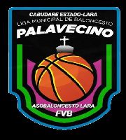 Liga Municipal de Palavecino