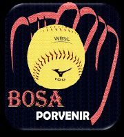 LIGA BOSA PORVENIR