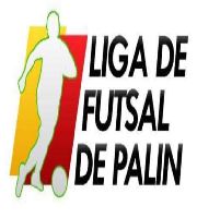 Liga Futsal Palin