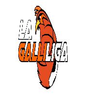 Galliliga