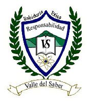 COLEGIO VALLE DEL SABER